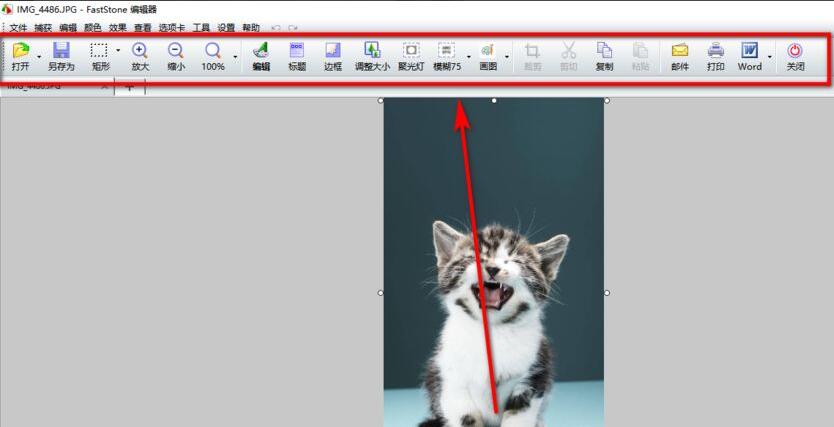 FastStone Capture怎么打马赛克-给图片打马赛克方法
