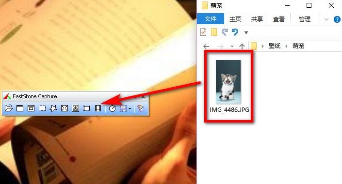 FastStone Capture怎么打马赛克-给图片打马赛克方法