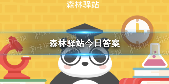 以下哪件事长臂猿不会做 微博森林驿站今日答案3月24日