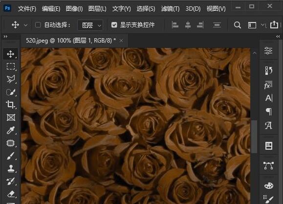 ps2021照片滤镜怎么调色-ps2021照片滤镜调色方法