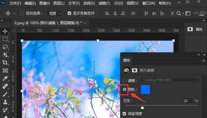 ps2021如何设置照片滤镜-ps2021设置照片滤镜的方法