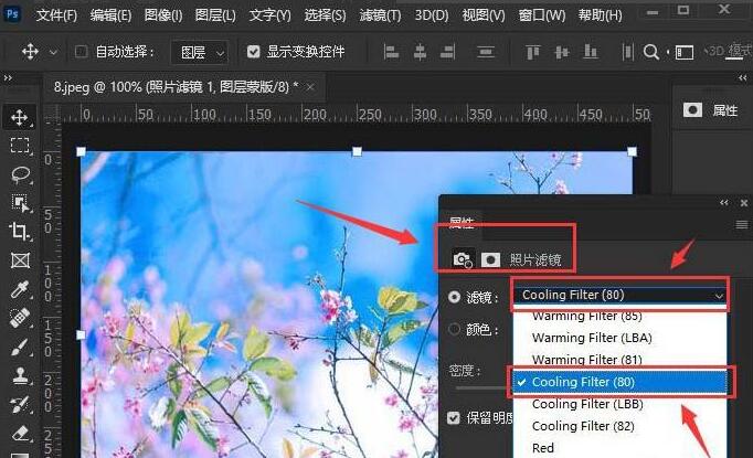 ps2021如何设置照片滤镜-ps2021设置照片滤镜的方法