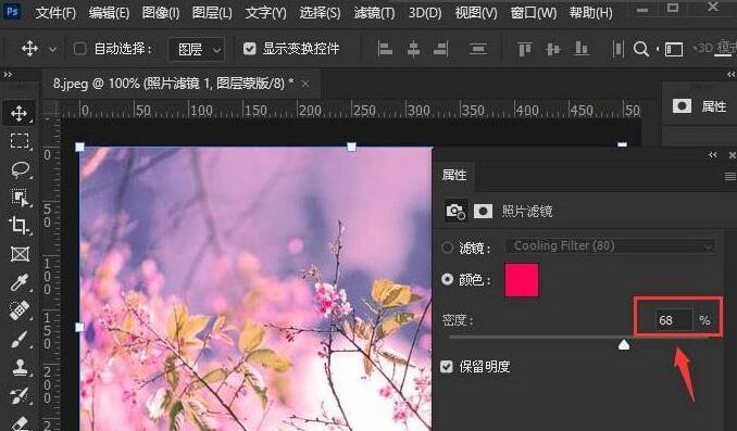 ps2021如何设置照片滤镜-ps2021设置照片滤镜的方法