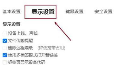 ToDesk怎么设置显示语言-ToDesk设置显示语言的方法