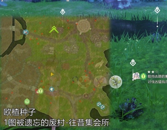 《莱莎的炼金工房3》常用素材位置说明  素材怎么收集？