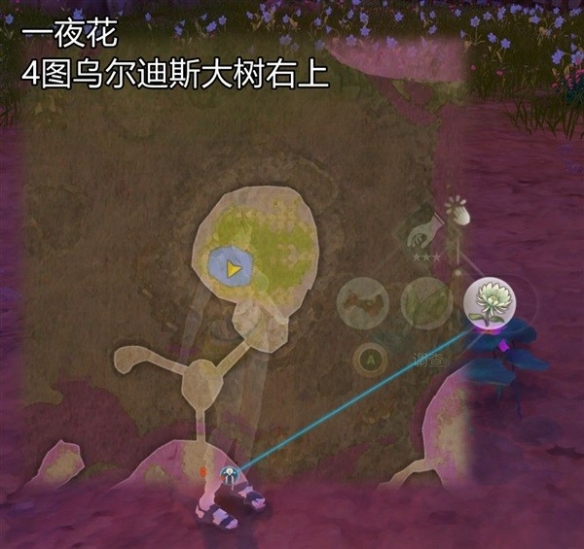 《莱莎的炼金工房3》常用素材位置说明  素材怎么收集？