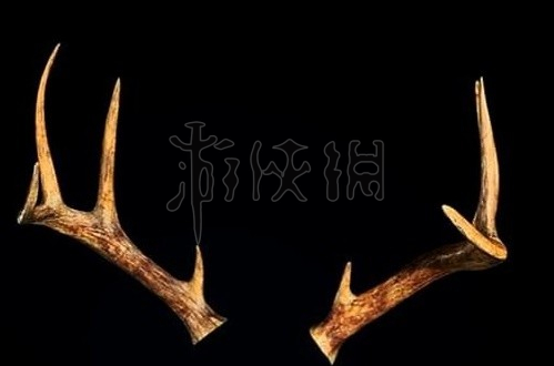 《生化危机4重制版》鹿角装扮怎么获得？鹿角装扮获得方法