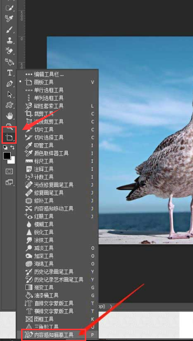ps图形怎么转路径-ps图形转路径的方法介绍