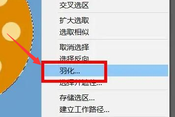 ps怎么制作图片外轮廓羽化效果-ps制作图片外轮廓羽化效果教程