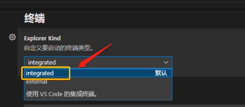 vscode怎么自定义终端类型-vscode自定义终端类型的方法