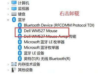 Windows10怎么删除隐藏蓝牙设备-删除隐藏蓝牙设备的方法