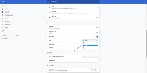 谷歌浏览器如何设置字体大小-谷歌浏览器设置字体大小的方法