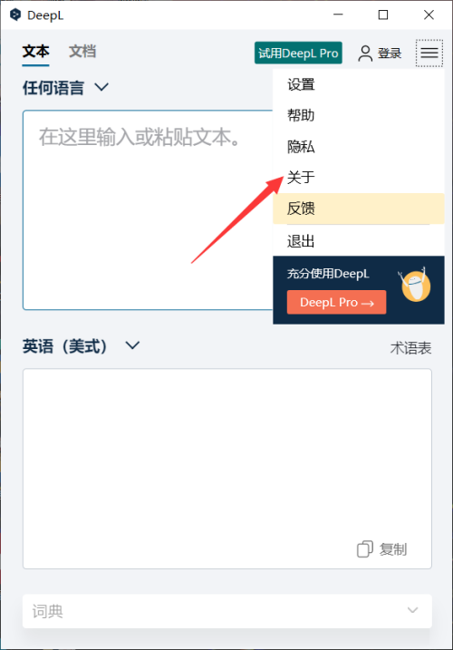 DeepL翻译器如何查看版本-DeepL翻译器查看版本的方法