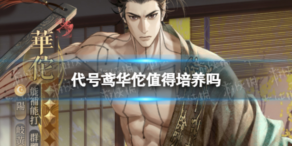 《代号鸢》华佗值得培养吗 华佗配队推荐
