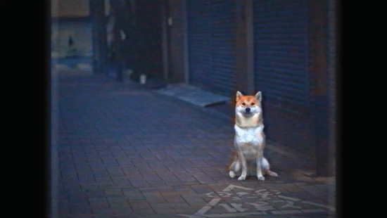 《Humanity》5月16日首发PS+ 扮演柴犬领导人群