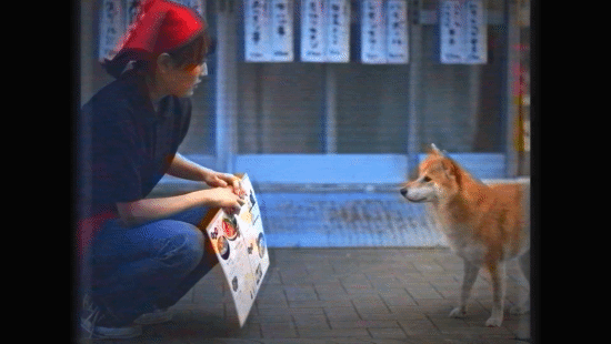 《Humanity》5月16日首发PS+ 扮演柴犬领导人群