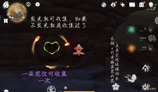 《原神》6朵忧昙花位置展示