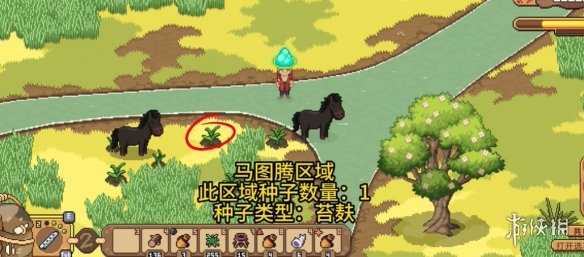 帕夏时代夏季种子收集攻略