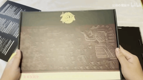 剧透慎入！UP主晒《塞尔达传说：王国之泪》豪华版开箱视频