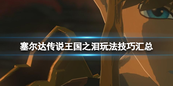 《塞尔达传说王国之泪》玩法技巧汇总 有什么技巧？