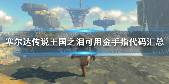 《塞尔达传说王国之泪》金手指代码有哪些？ 可用金手指代码汇总