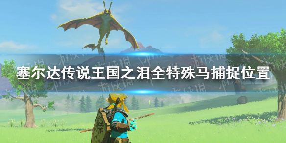《塞尔达传说王国之泪》特殊马在哪？ 全特殊马捕捉位置