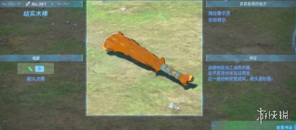 《塞尔达传说王国之泪》武器大全 全武器性能及位置点汇总