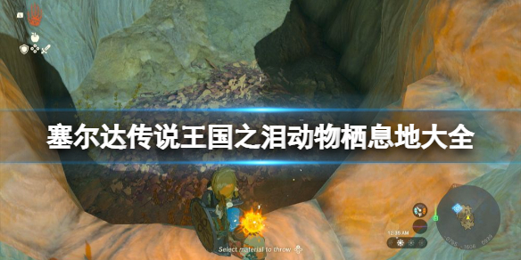 《塞尔达传说王国之泪》动物栖息地大全 全动物图鉴一览