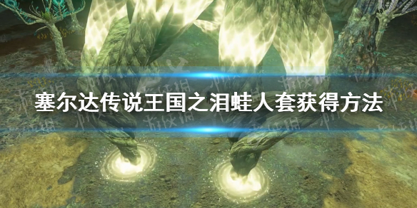 《塞尔达传说王国之泪》蛙人套怎么获得？ 蛙人套获得方法