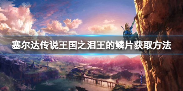 《塞尔达传说王国之泪》王的鳞片怎么获得？王的鳞片获取方法