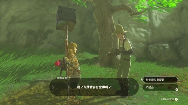 《塞尔达传说王国之泪》萨格诺帽子获取教程 哈特诺村竞选村长支线攻略