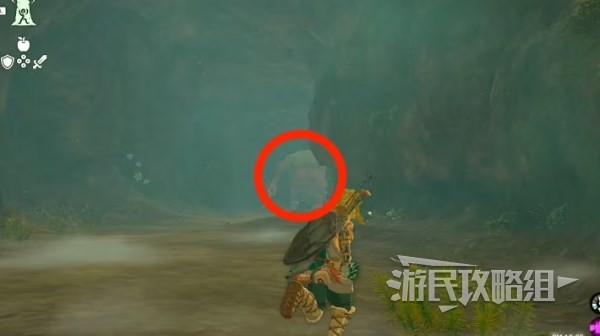 《塞尔达传说王国之泪》炸弹花高效收集方法 炸弹花怎么获得