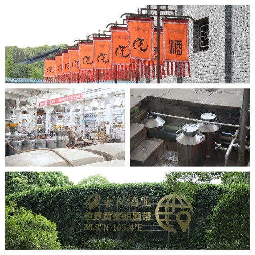 就是豪横！《魔域手游》系列玩家见面会成都站现场精彩回顾