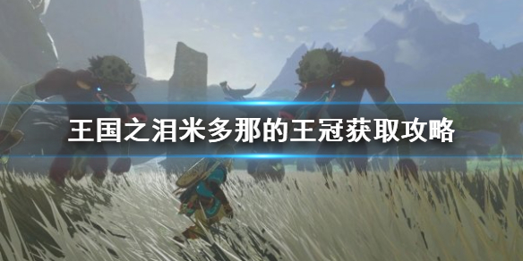 《环形战争》鹫龙国王角色分析 鹫龙国王怎么样