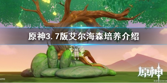 《原神》艾尔海森怎么培养？  3.7版艾尔海森培养介绍
