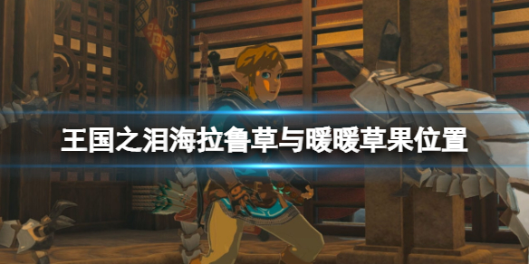 《塞尔达传说王国之泪》暖暖草果在哪采摘？海拉鲁草与暖暖草果位置