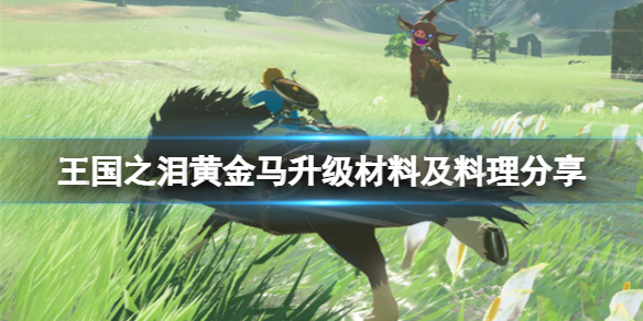 《塞尔达传说王国之泪》黄金马升级材料及料理分享 黄金马怎么升级？