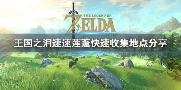 《塞尔达传说王国之泪》速速莲蓬快速收集地点分享  速速莲蓬收集点在哪？