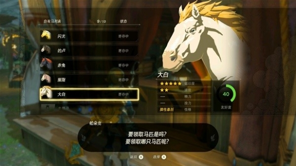 《塞尔达传说王国之泪》特殊马匹一览  有哪些特殊马匹？