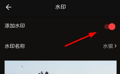 vue怎么去视频水印 vue拍好的视频怎么去水印