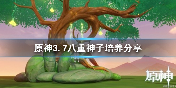 《原神》3.7八重神子培养分享  八重神子怎么培养？