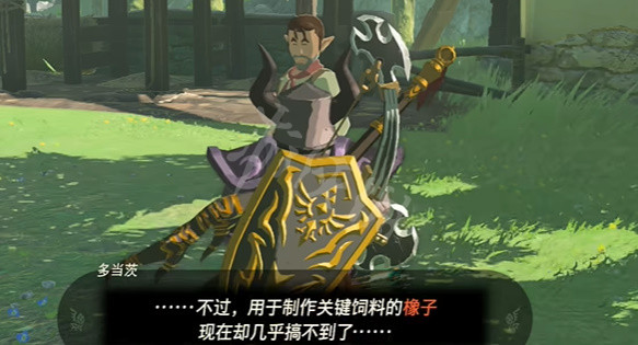 《塞尔达传说王国之泪》讲究的男人多当茨任务攻略 讲究的男人多当茨任务怎么做？