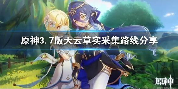《原神》3.7版天云草实采集路线分享  天云草怎么采集？