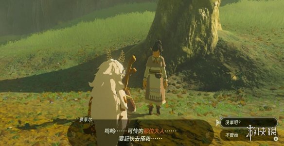 《塞尔达传说王国之泪》蛙之手甲怎么获得？递出邀请的女性任务攻略