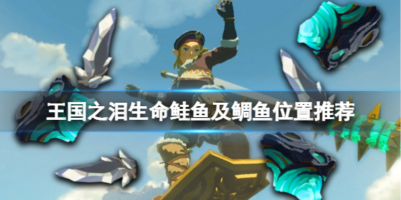 《塞尔达传说王国之泪》鲷鱼在哪抓？生命鲑鱼及鲷鱼位置推荐