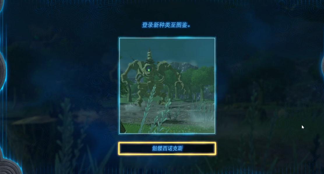 《塞尔达传说王国之泪》骷髅西诺克斯的布料怎么获得？骷髅西诺克斯的布料获得方法