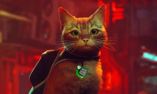 猫咪游戏《流浪》或将加入XGP Xbox版已通过评级