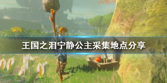 《塞尔达传说王国之泪》宁静公主采集地点分享   宁静公主在哪采集？