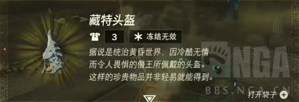 《塞尔达传说王国之泪》米多娜的王冠彩蛋介绍