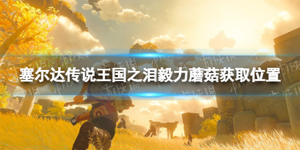 《塞尔达传说王国之泪》毅力蘑菇在哪？ 毅力蘑菇获取位置